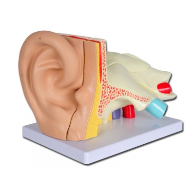 VALUE EAR - 5 dílů - 3X